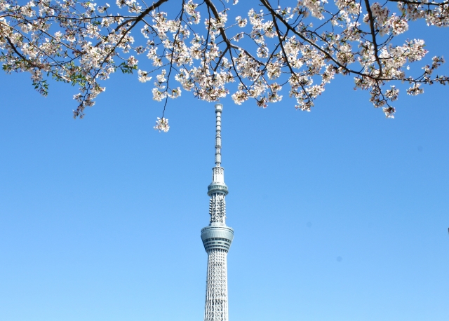 スカイツリー